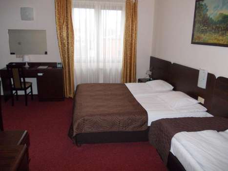www.pinocy.com.pl