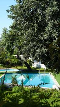 www.alentejostarhotel.com