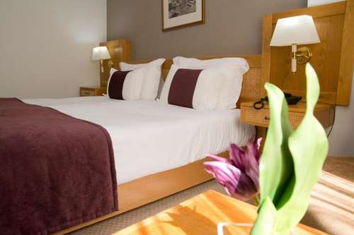 www.hotelrainhadamelia.pt