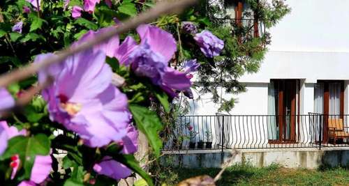 www.hotelvioleta.ro