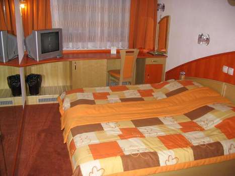 www.hotel-zalec.si