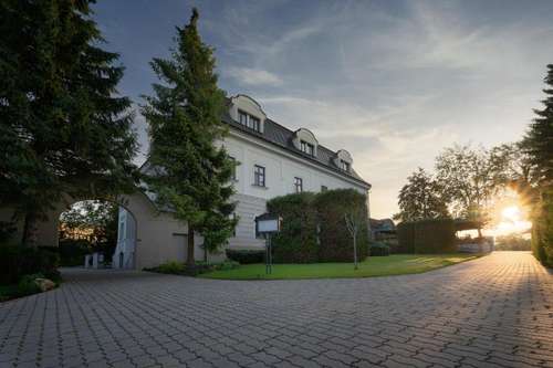 www.villanecas.sk