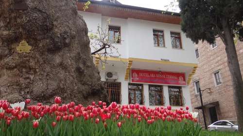 www.arakonaktermalhotel.com