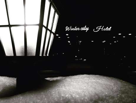 www.hotelwintercity.com.tr