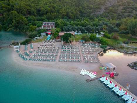 www.seahorsebeachclub.com