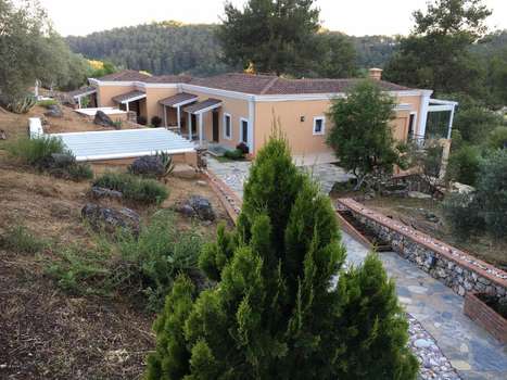 www.dcgocek.com
