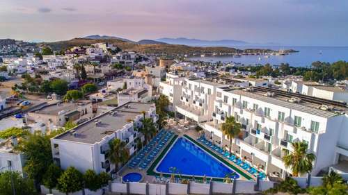 www.clubsharkhotel.com