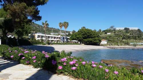 www.marveltreehotel.com