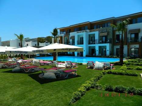 www.lionahotel.com