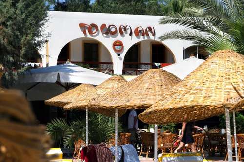 www.toloman.com