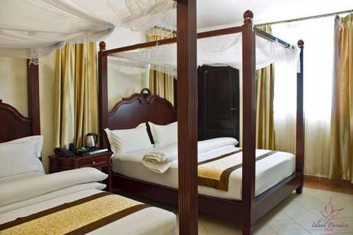 www.iparadiseinn.com