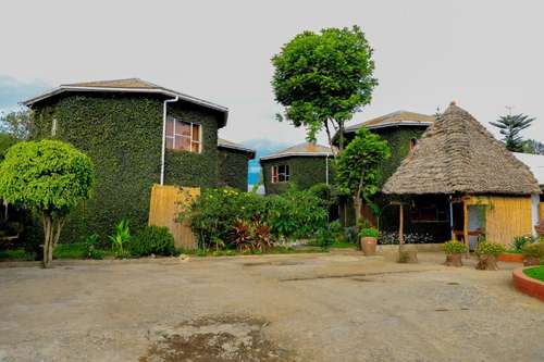 www.danstamhotel.com