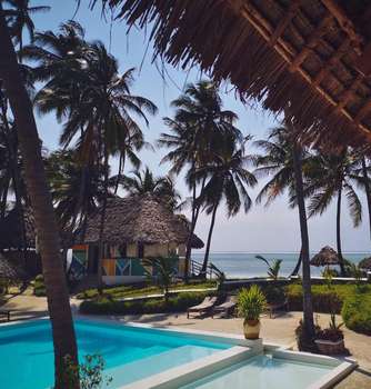 www.tsunamivillage.com