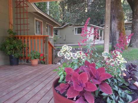 www.chinacreekcottages.com