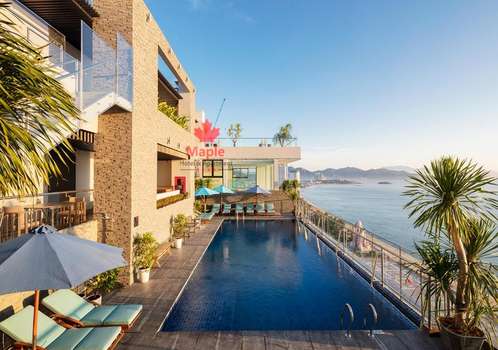 www.maplenhatrang.vn