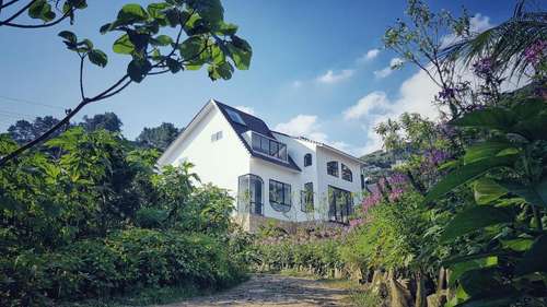 www.levent.vn