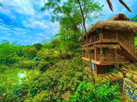 www.junglelodgepuluong.com