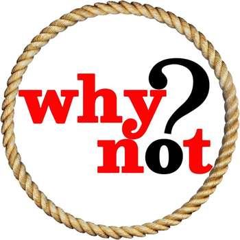 www.whynot.com.vn