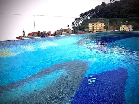 www.camelliahoteltamdao.vn