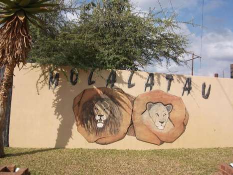 www.molalatau.co.za