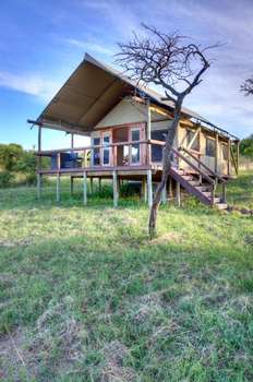 www.thespringboklodge.co.za