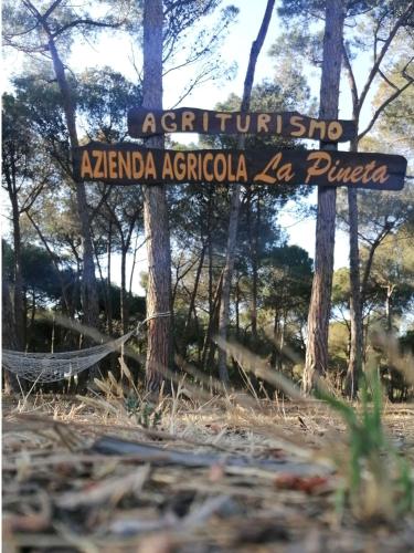 www.agricampeggio-la-pineta.it