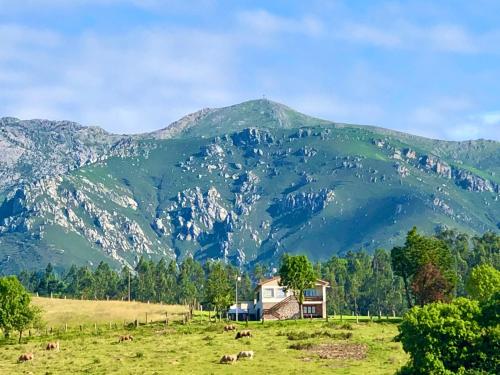 www.asturiasestanciasnaturales.com