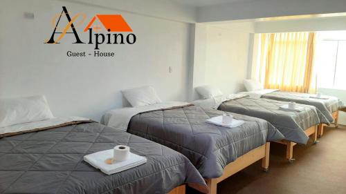 www.alpinoguesthouse.com