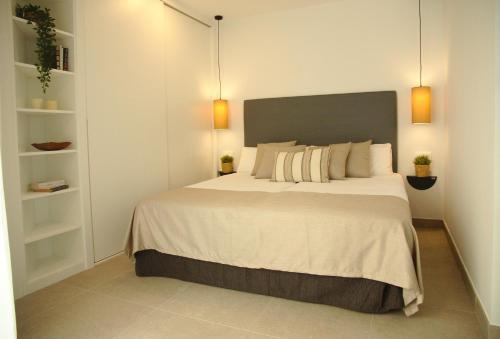 www.alidreams.com