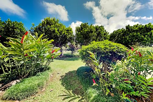 www.turtlebayresort.com
