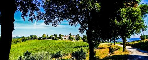 www.fattorialatorre.it