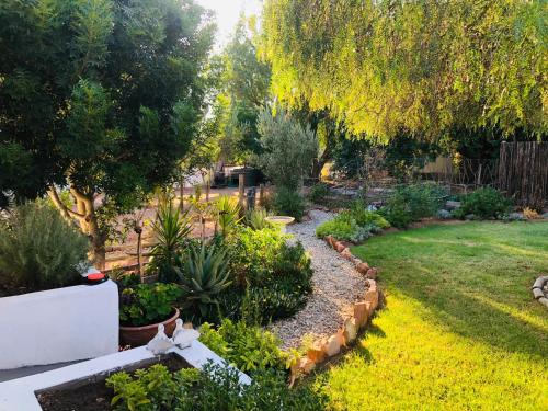www.31onkloofaccommodation.com