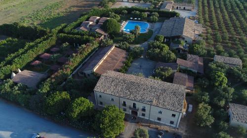 www.fattoriailborghetto.it