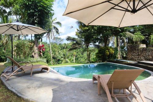 www.aventusbali.com