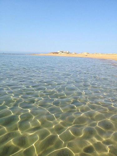 www.hoteldellepalmelecce.it