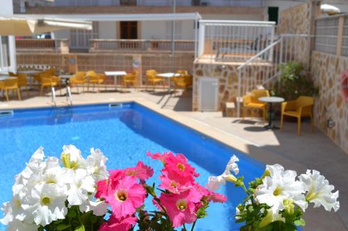 www.sitiabeach.com
