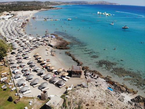 www.funbeachclub.com