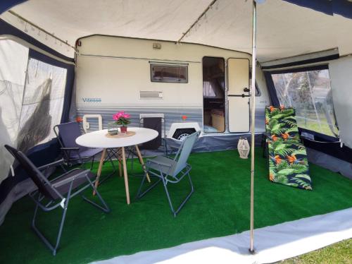 www.sonatacamp.pl