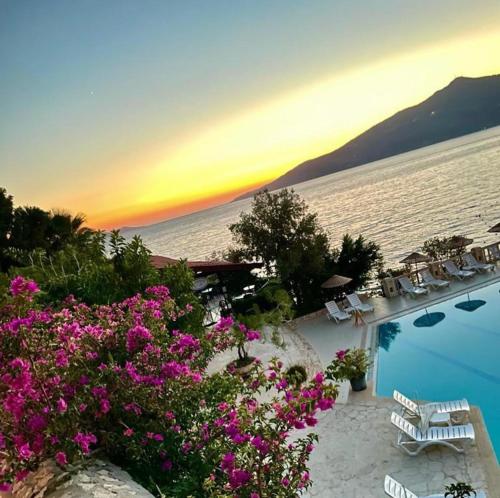 www.clubpatara.com
