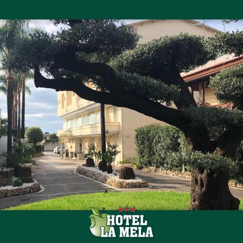www.hotelreyt.com
