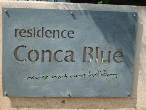 www.ibizapuntacana.com
