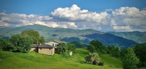 www.ilnocedoro.it