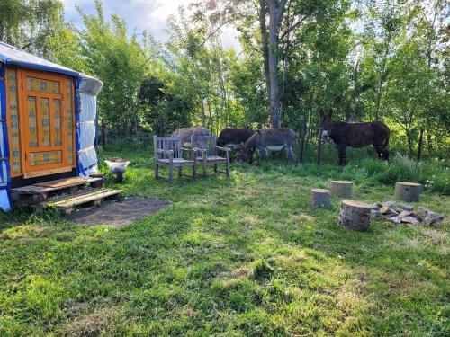 www.smokyhollowresort.com