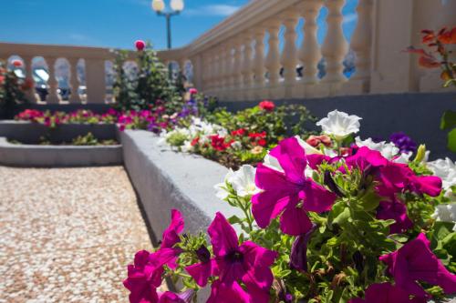 www.apartments-baska.hr