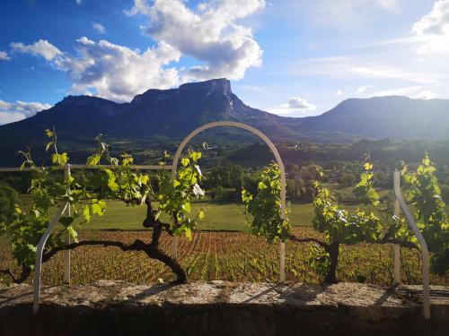 www.domainedesgrangeslonges.com