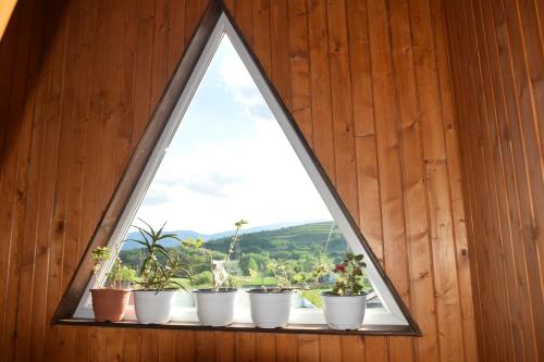 www.mandararesidency.com