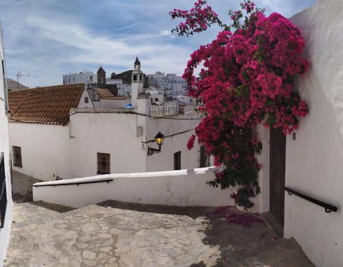 www.villaromalanzarote.com