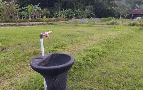 www.camping-verger.com