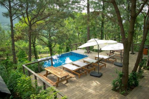 www.amayaretreat.com
