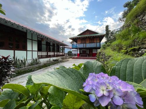 www.hotelholidayhill.co.in